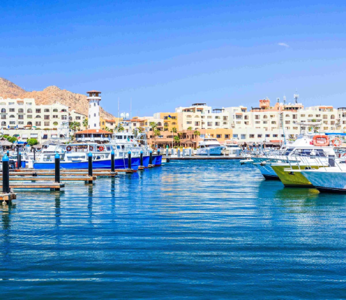 Los mejores restaurantes en Los Cabos San Lucas