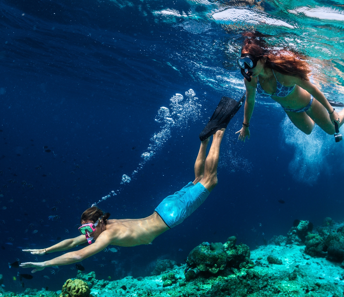 Los lugares más increíbles para hacer snorkel en Tulum
