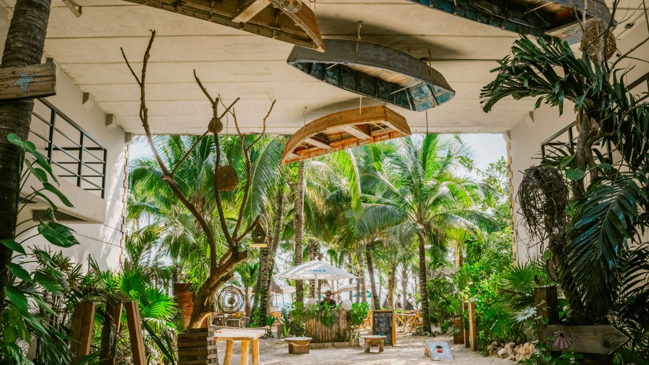 ¿El mejor lugar para hospedarte en Isla Mujeres? Así se vive en Mayan Monkey