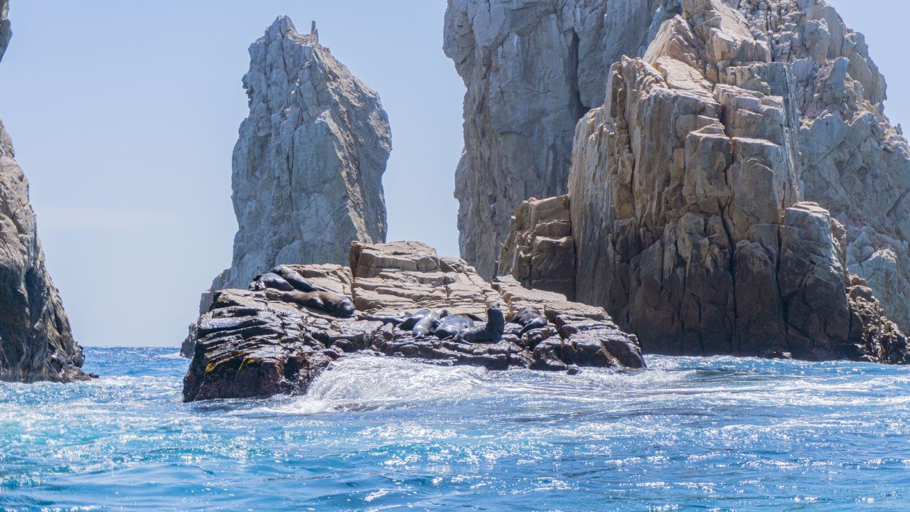 Stay-in-Los-Cabos-and-explore-its-surroundings