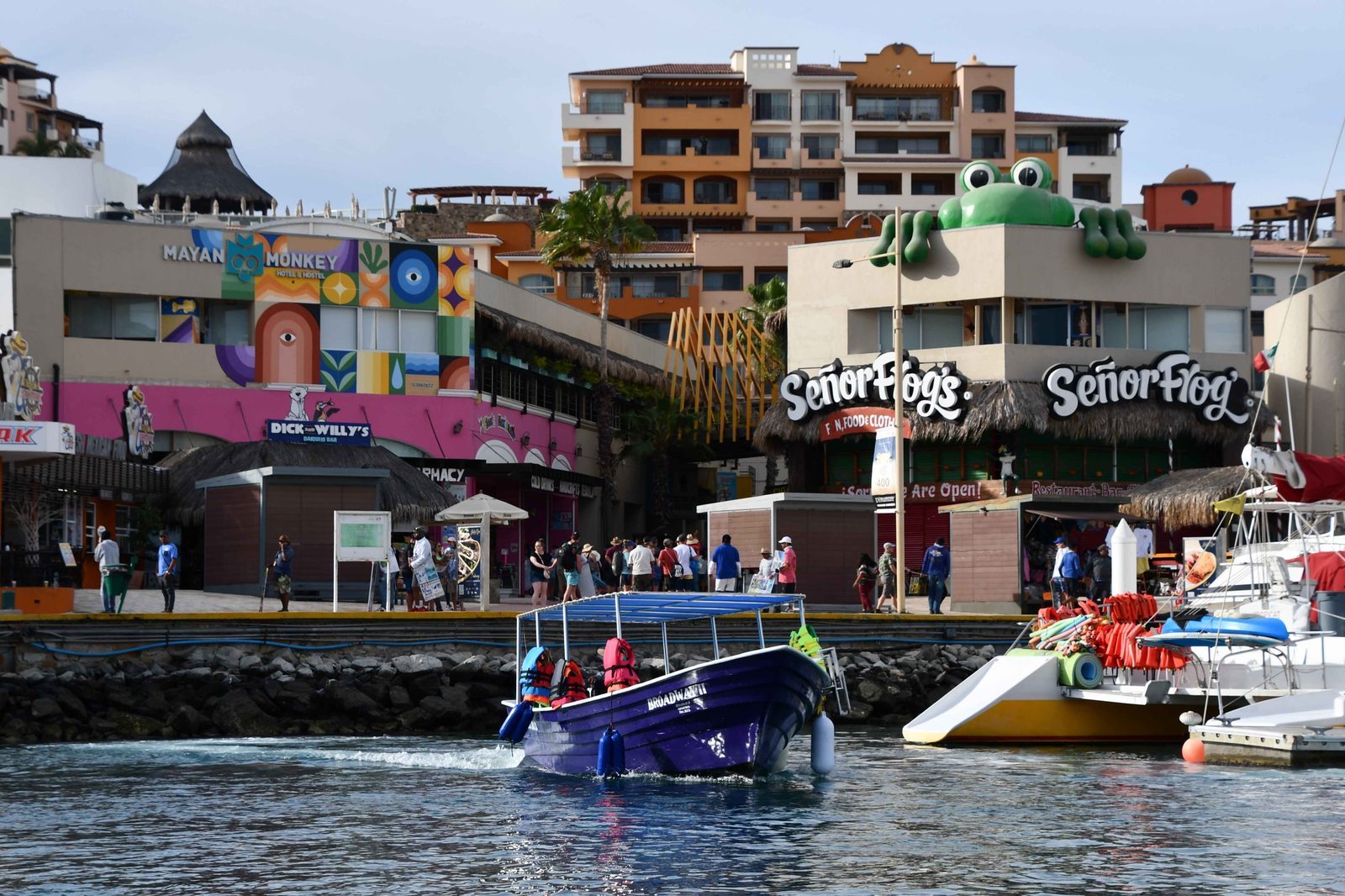 Mayan Monkey, Sr. Frogs and Marina of Cabo