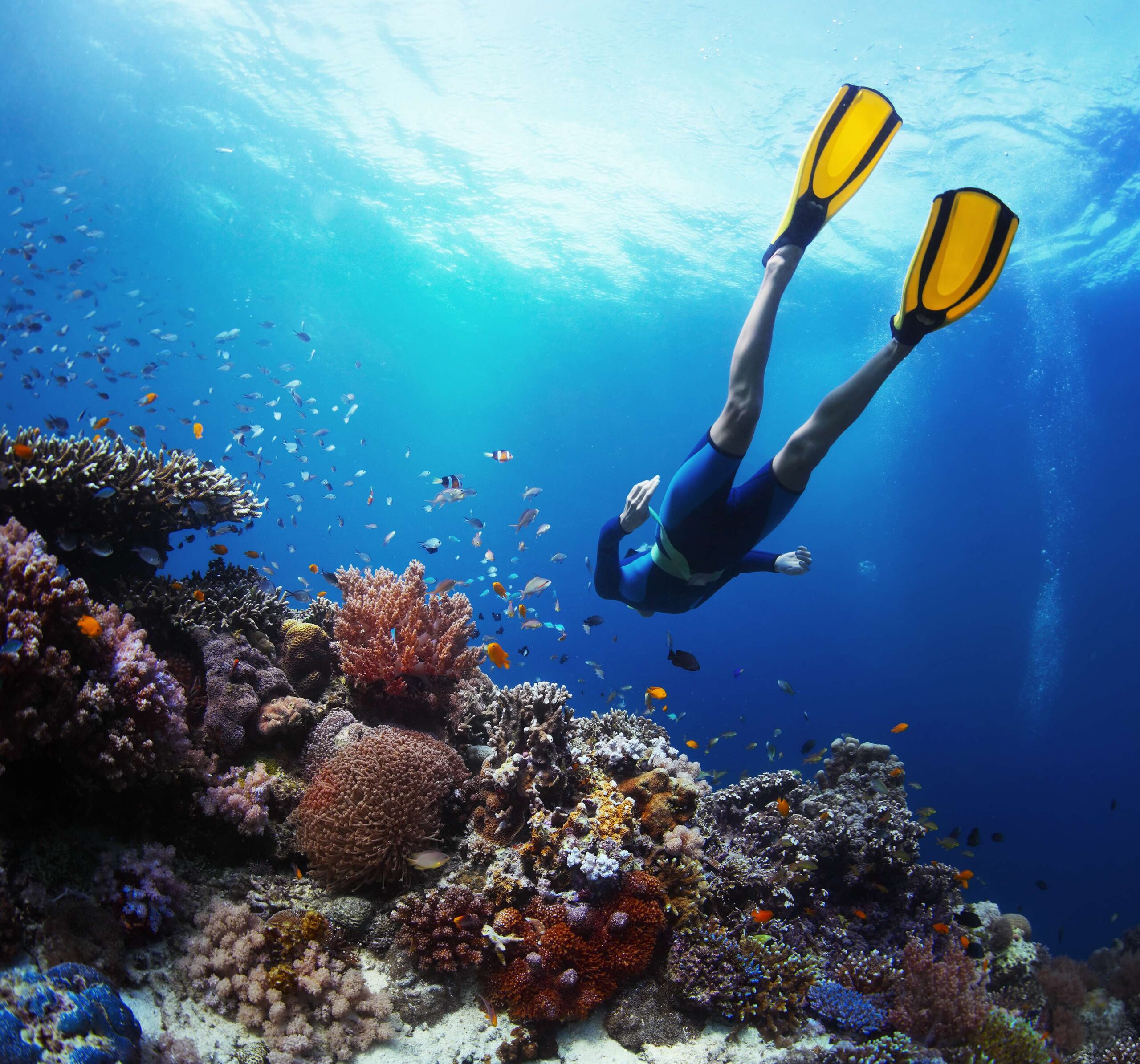 Ecoturismo en Cancún