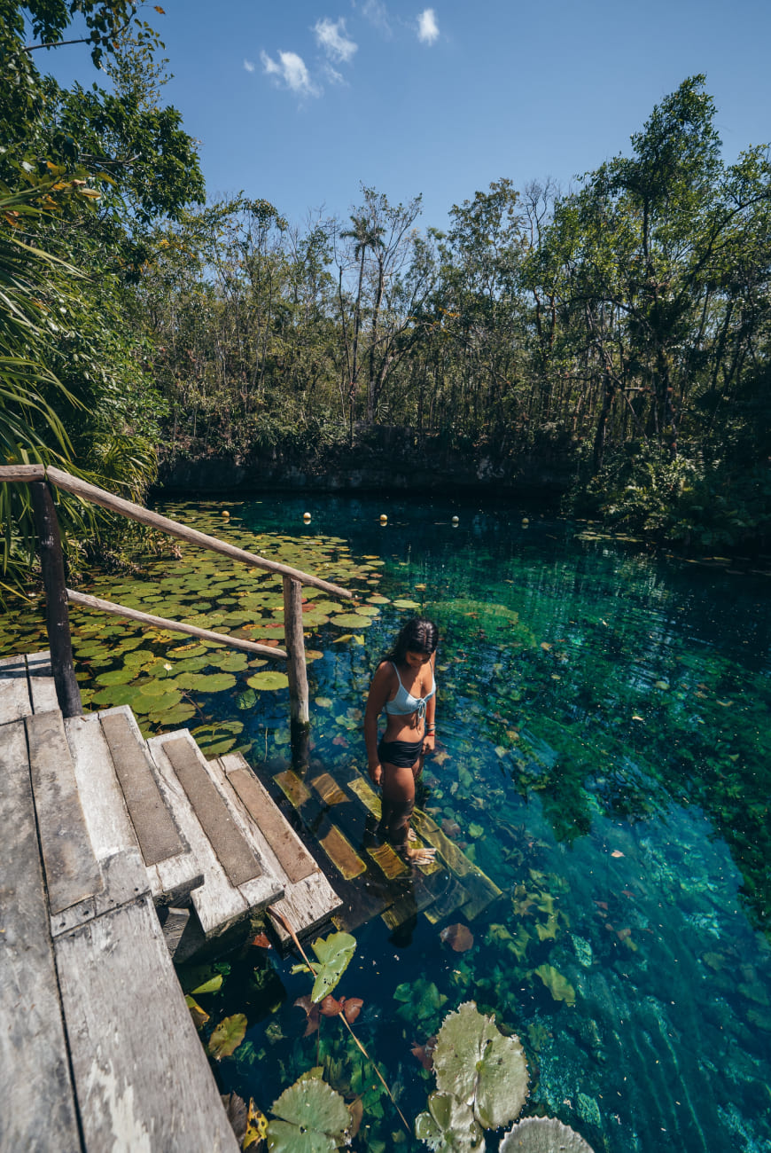 Un Mundo Más Verde — acción eco de Mayan Monkey 8