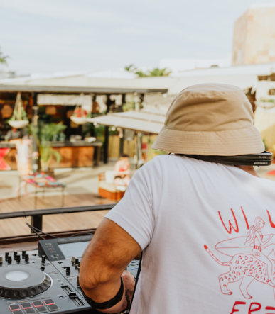 Los Cabos Vibe 2