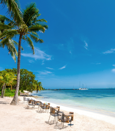 Isla Vibe 10