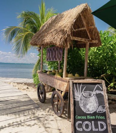 Isla Vibe 11