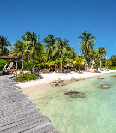 Isla Vibe 7
