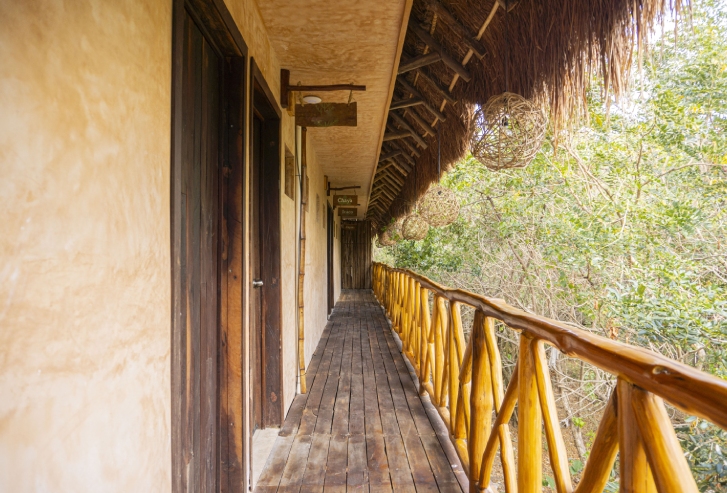 Habitación jungla con terraza — foto 1