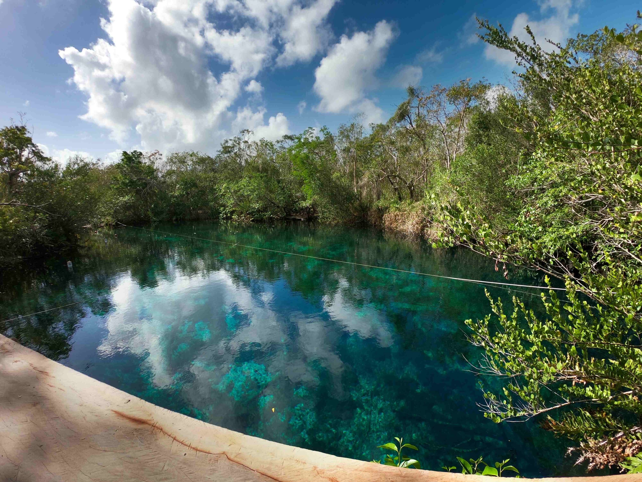 cenotes-vacaciones-mayan monkey- tulum- puerto