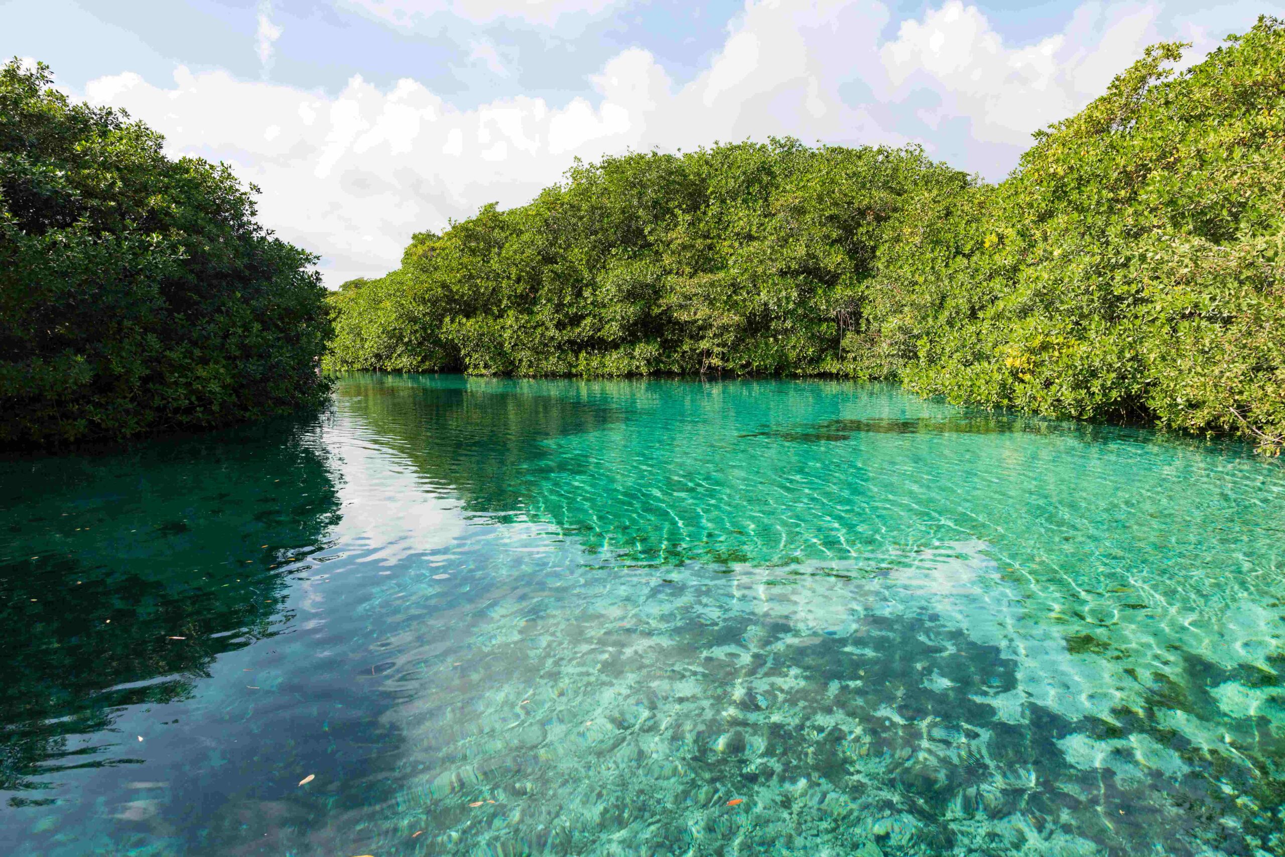 Cenote-vacations-loscabos