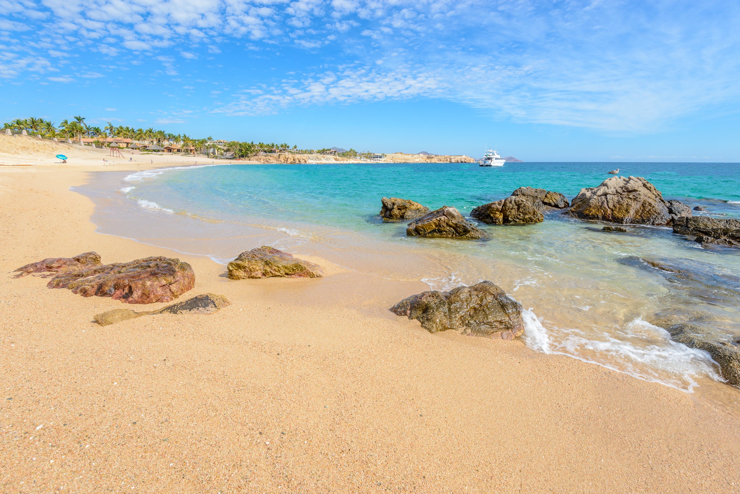 the best beach- beach-los cabos- mayan monkey