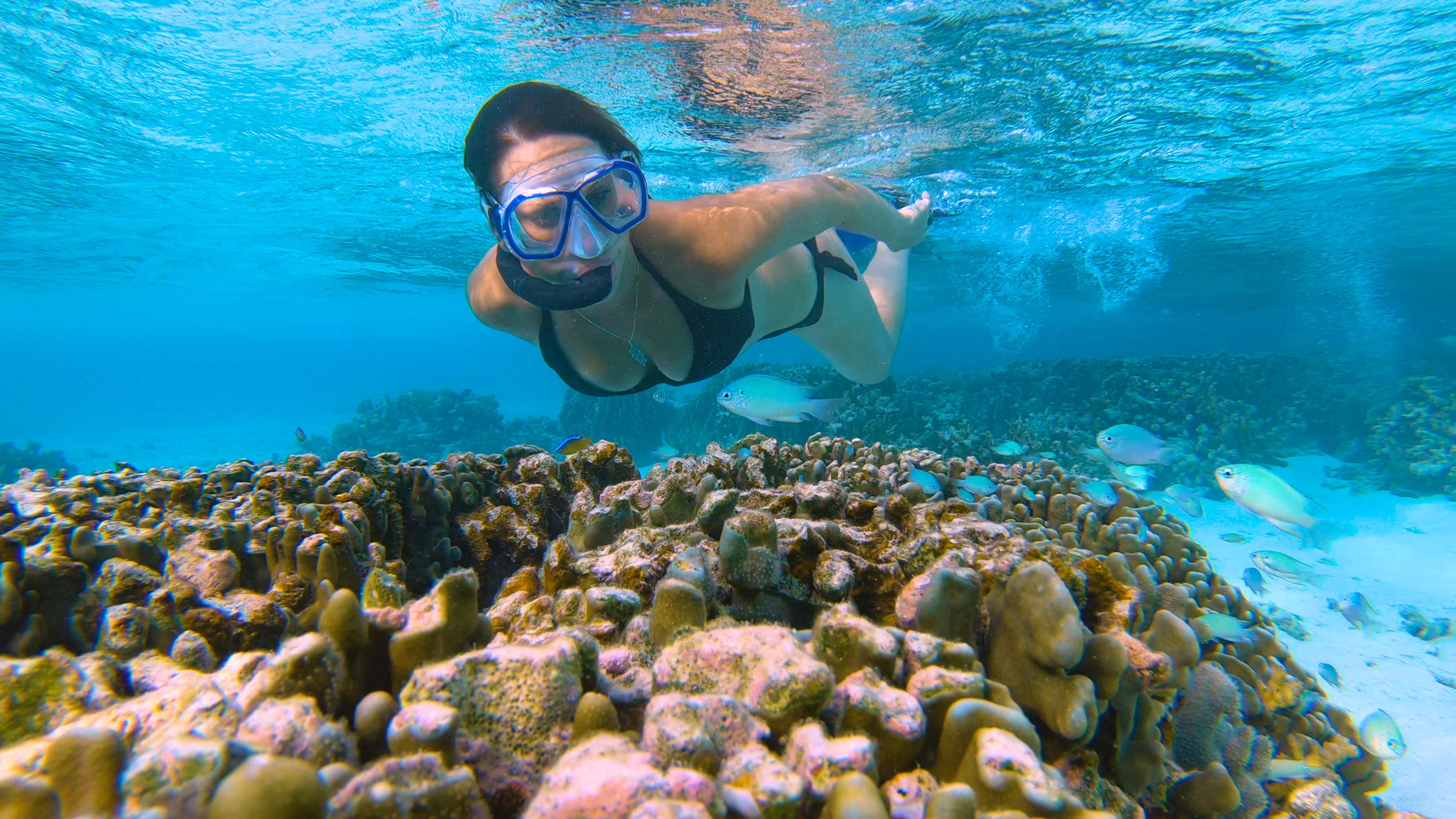 snorkeling in tulum