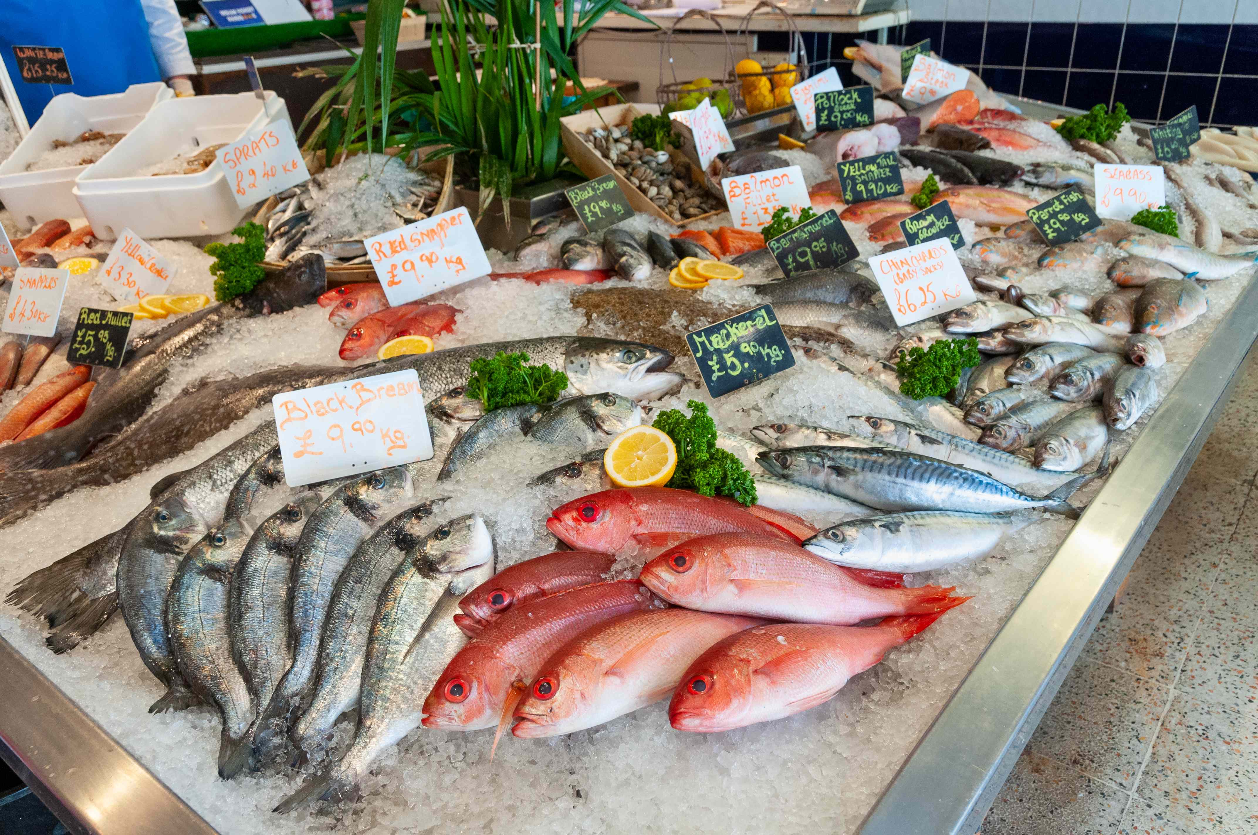 Fish market in Cabo