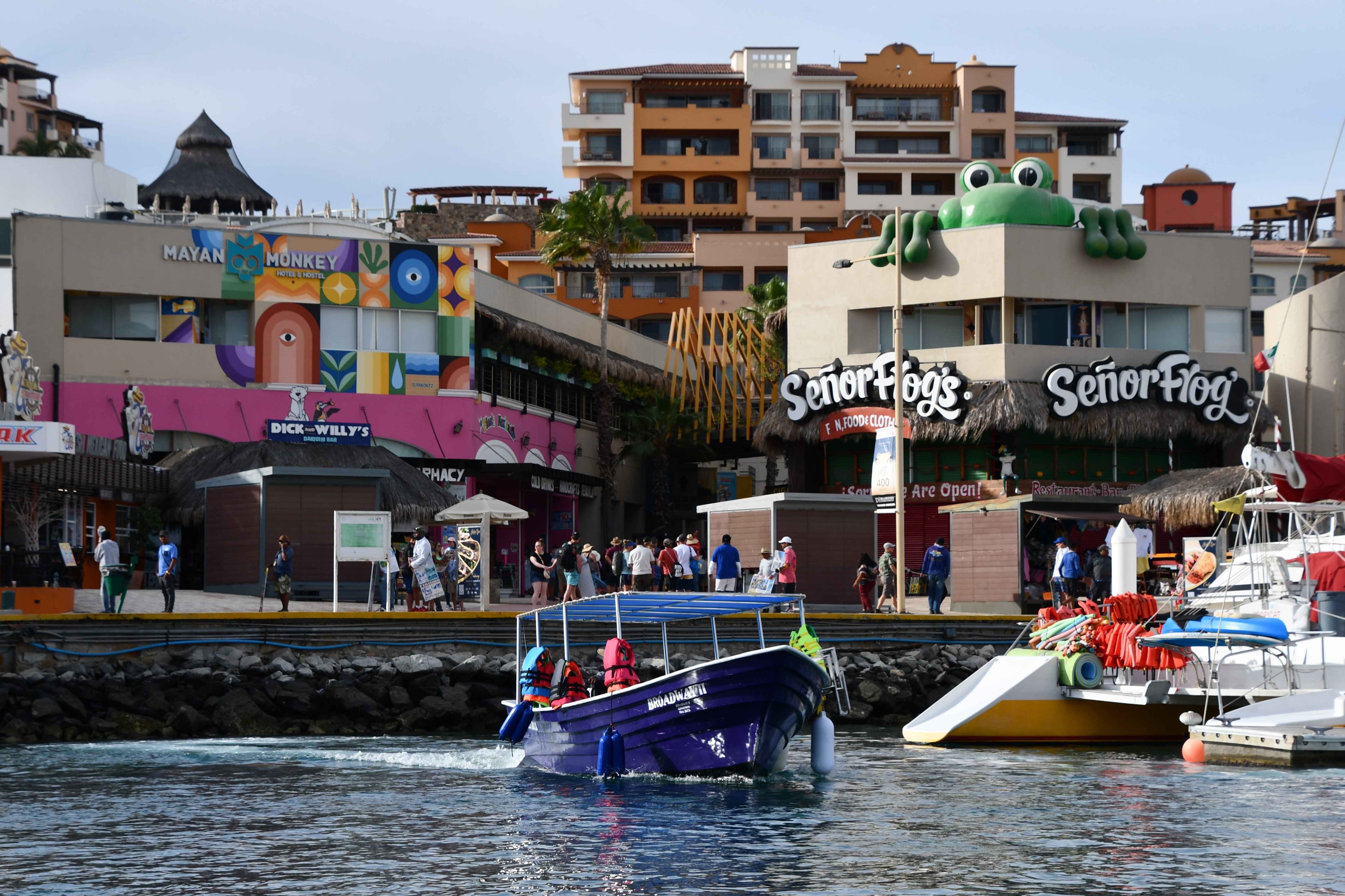 Mayan Monkey, Sr. Frogs and Marina of Cabo