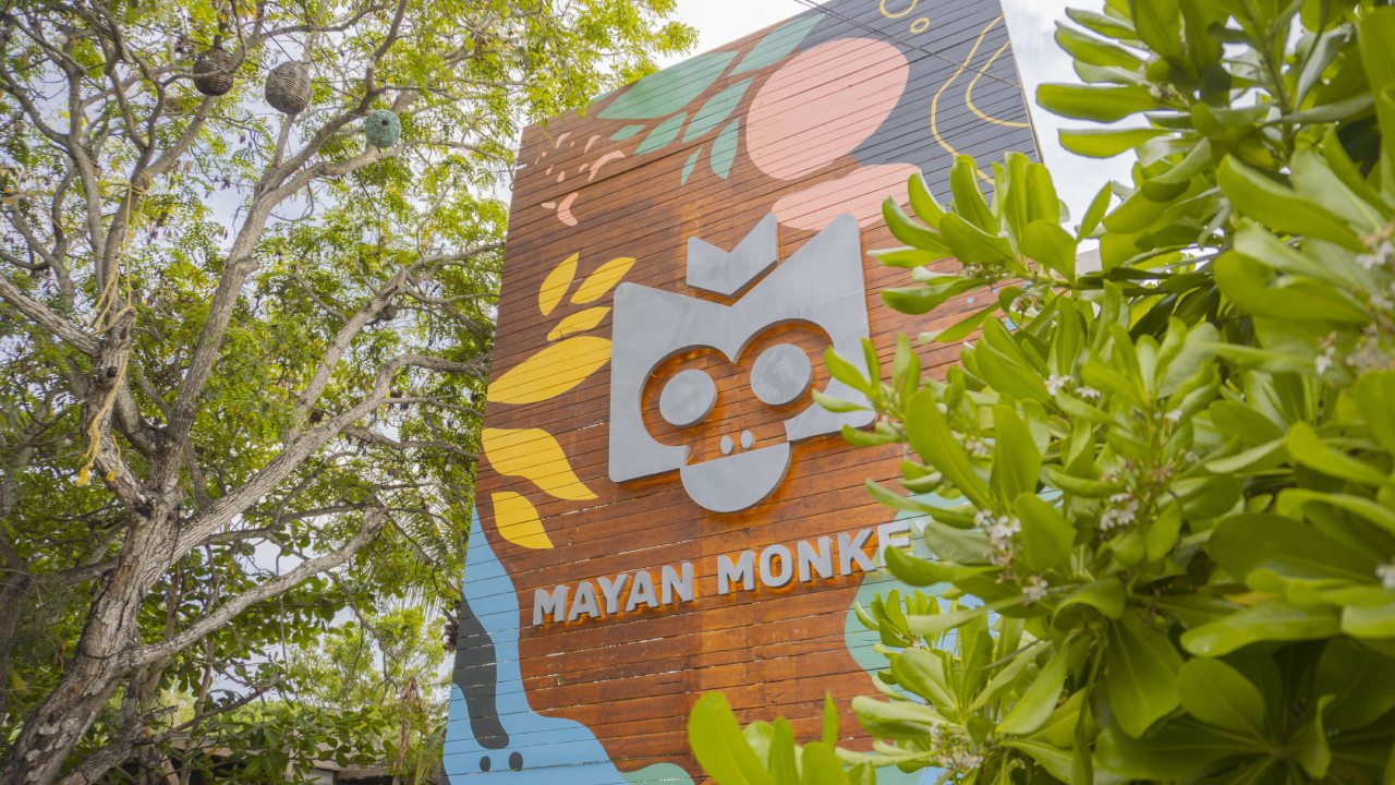 How-to-get-to-any-Mayan-Monkey-location?
