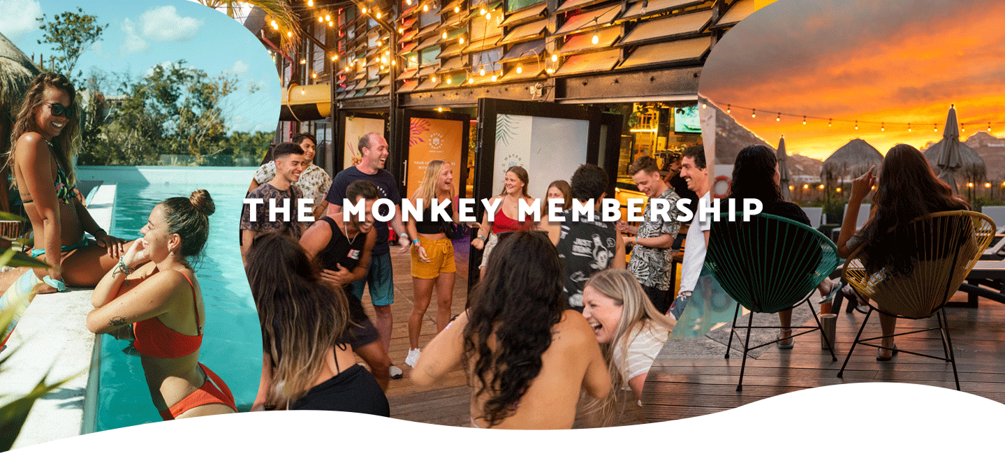 the-monkey-membership-mayan-monkey-hotel