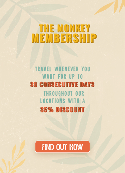 The Monkey Membership | Mayan Monekey Hotel